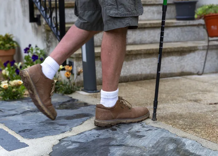 Alda טריאקסטלה